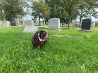 Congressional Cemetery image 2